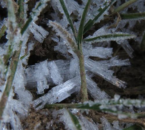002-11.01.2024 Frost-und-Schnee02
